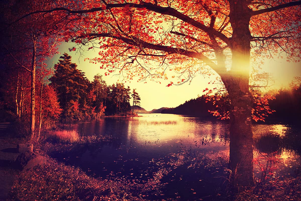 eaglelakeiii_merged eaglelakeiii_merged