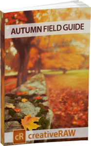 autumn-fuild-guide-cover Free eBook on photographing fall foliage landscapes