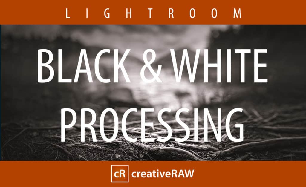 black-white-process black-white-process