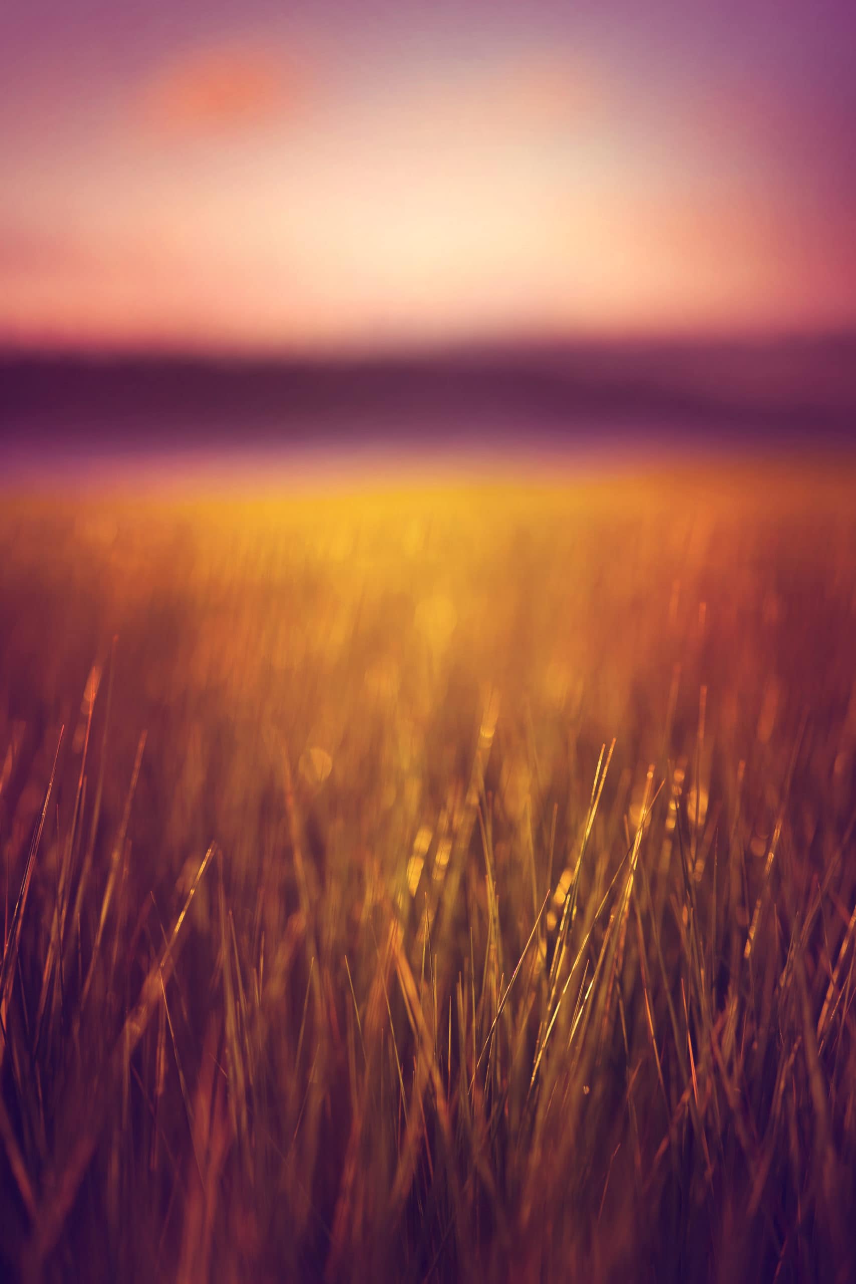 stillness_of_summer stillness_of_summer