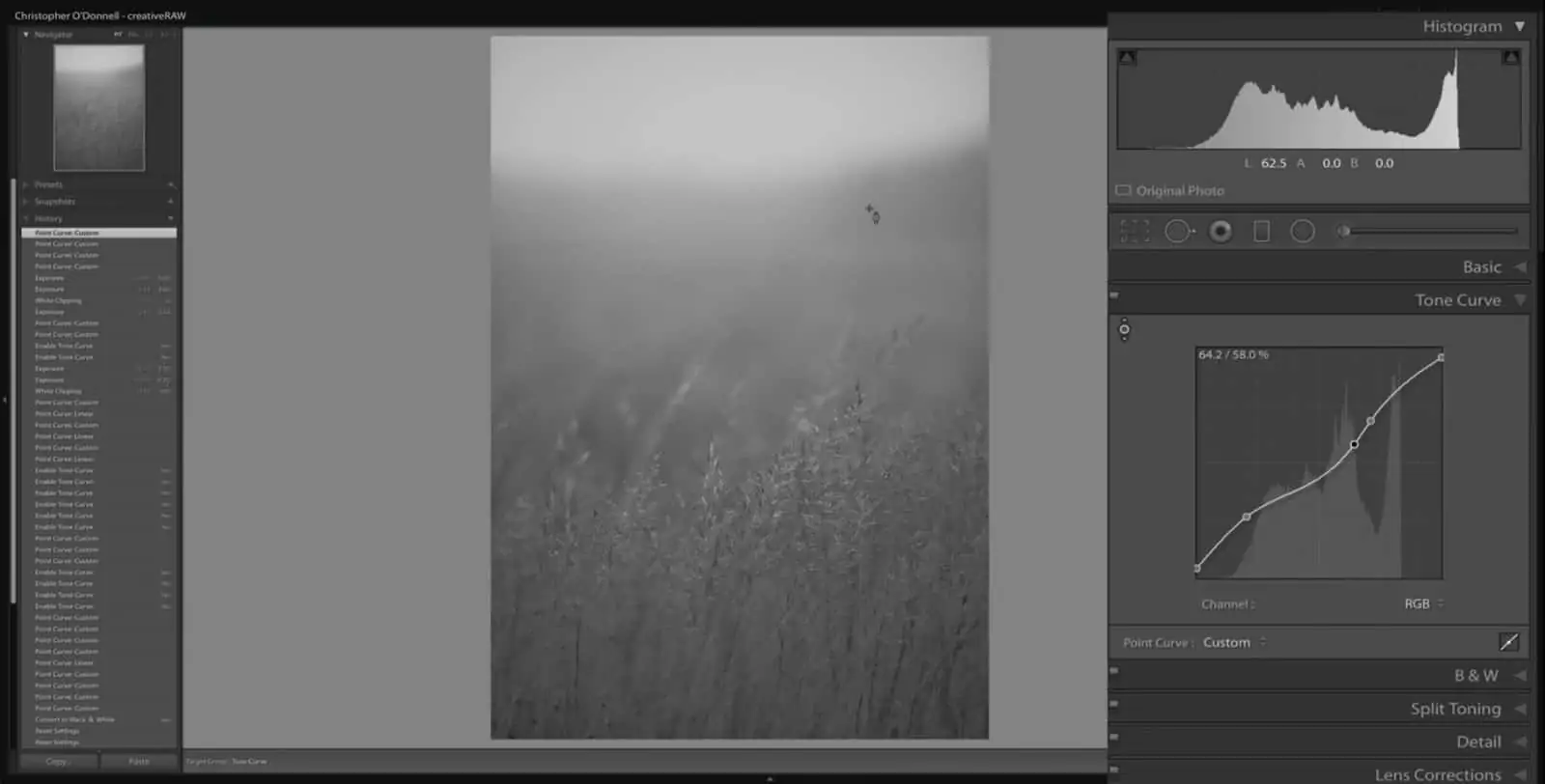 Adding Points to Tones Curve - Lightroom and Photoshop