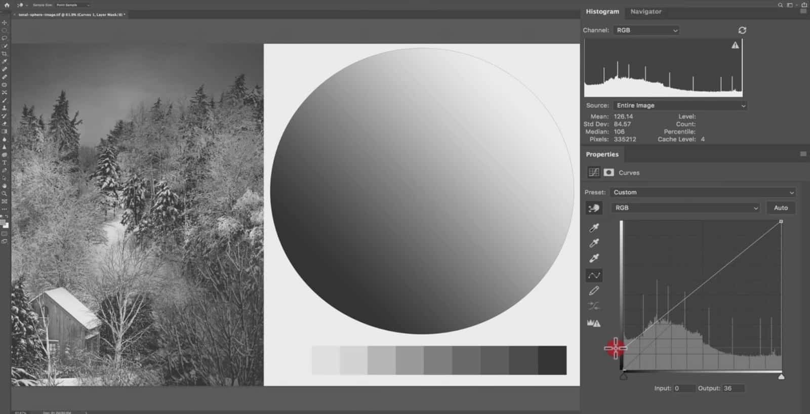 Adjusting the Tonal Environment - CreativeRAW