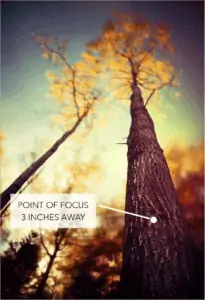 Point of focus 3 inches Away - CreativeRAW