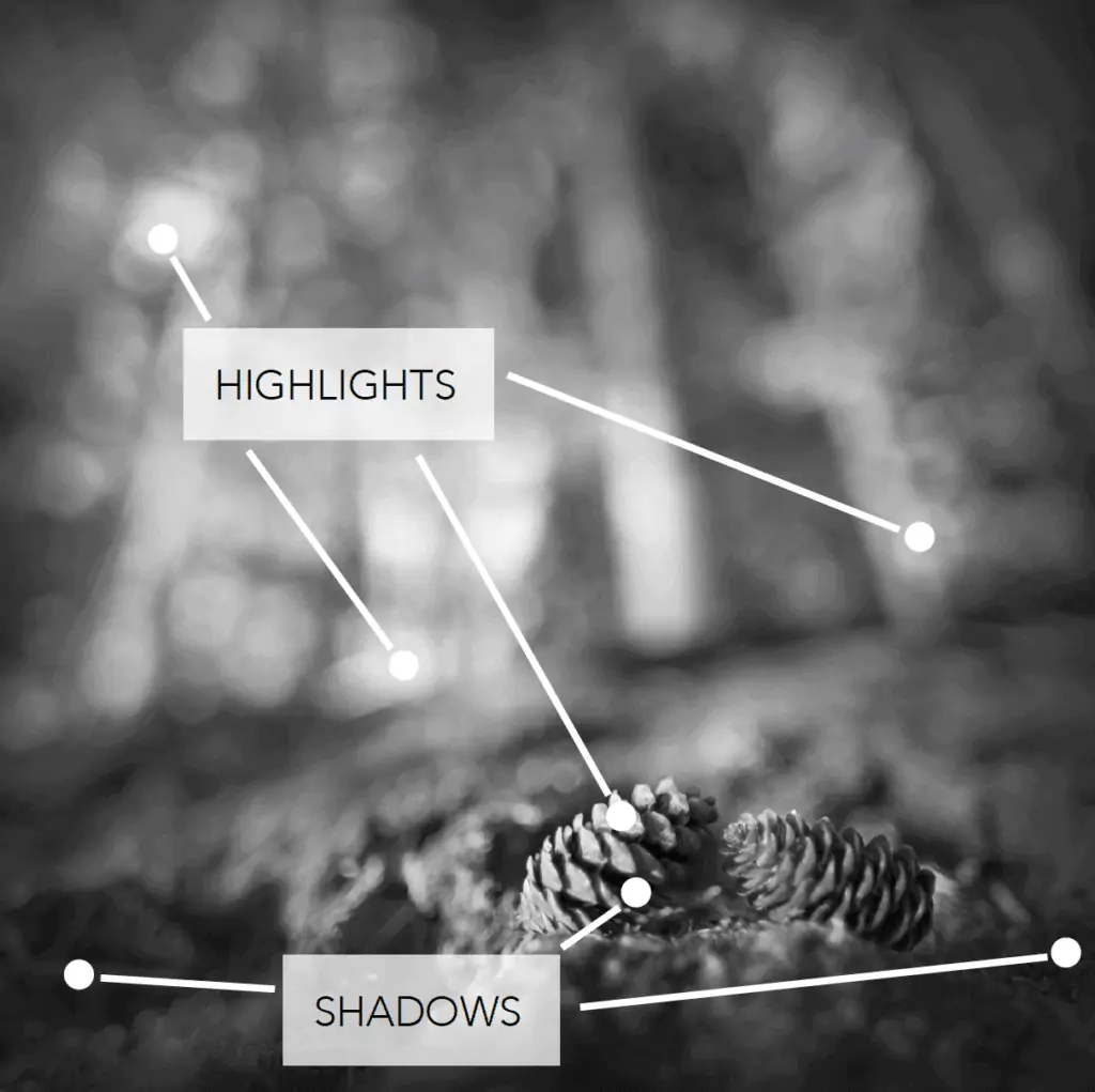 Highlights and Shadows - CreativeRAW