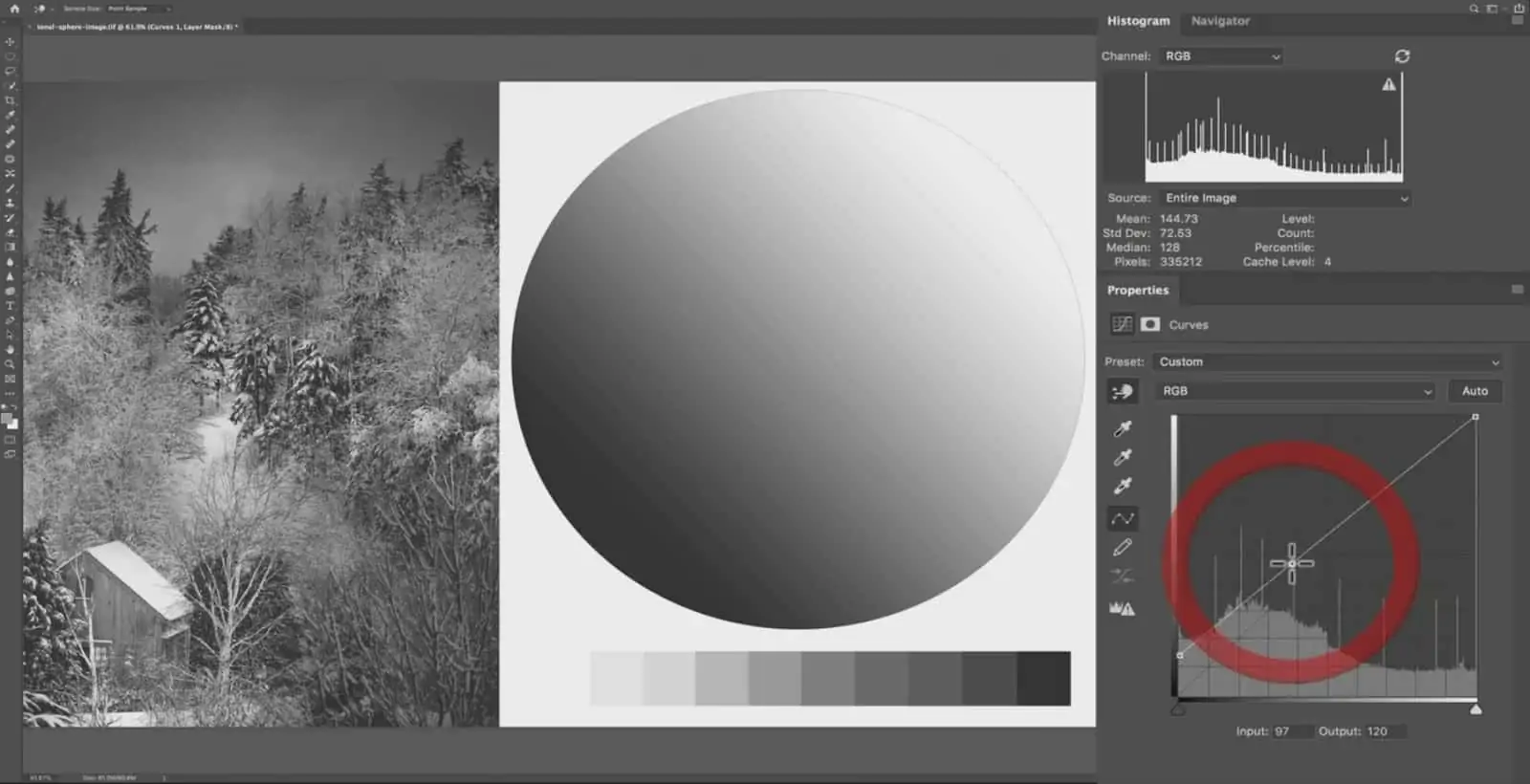 Adjusting the Tonal Environment with Contrast - CreativeRAW