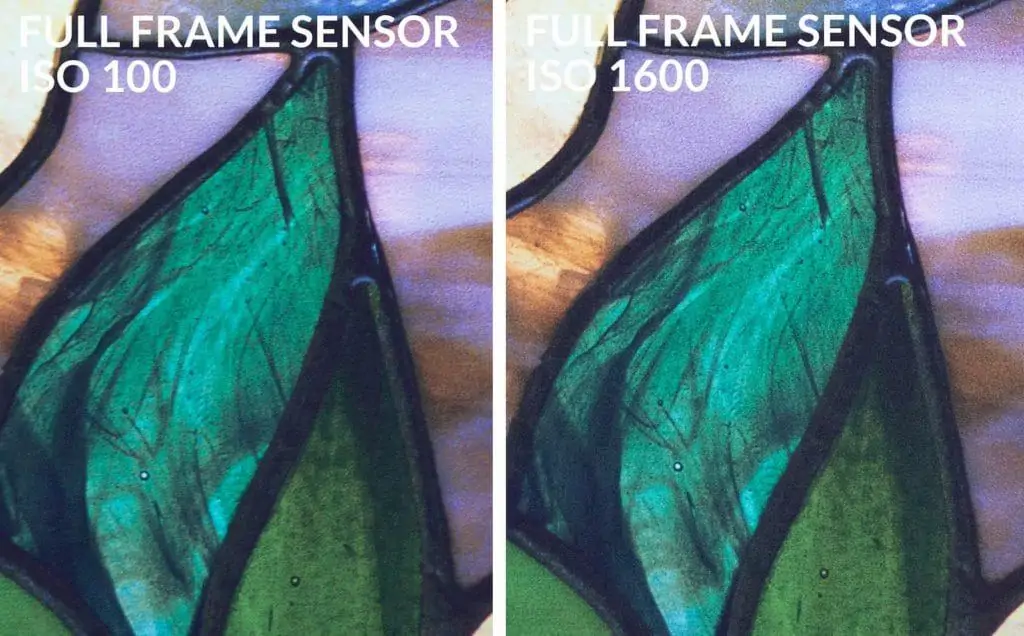 Full frame sensor iso 100 vs 1600 - CreativeRAW