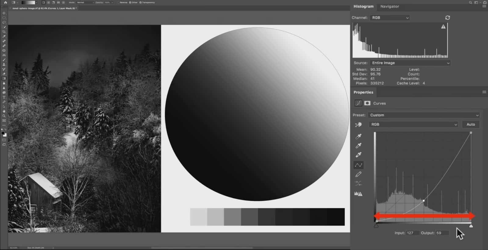 Dark Tones in Curve - CreativeRAW