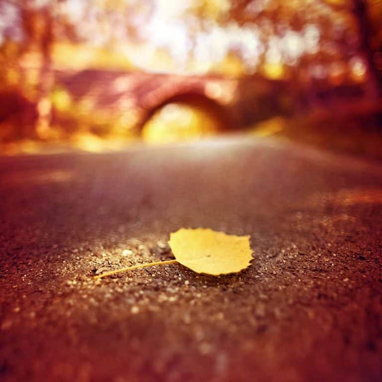 Eight Ways To Be Creative With A Shallow Depth Of Field Creativeraw Eight Ways To Be Creative With A Shallow Depth Of Field Creativeraw