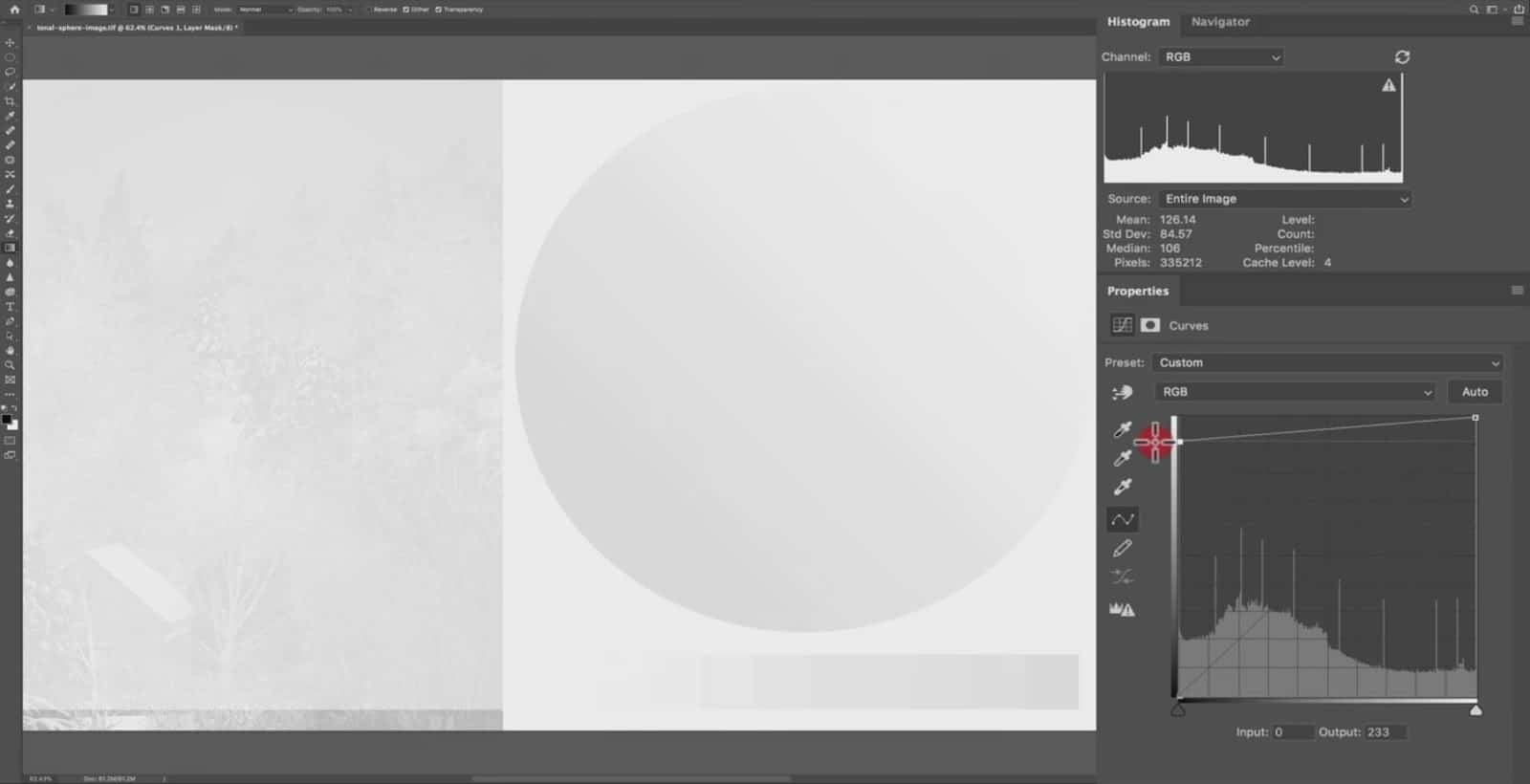 Pure White in Curve - CreativeRAW
