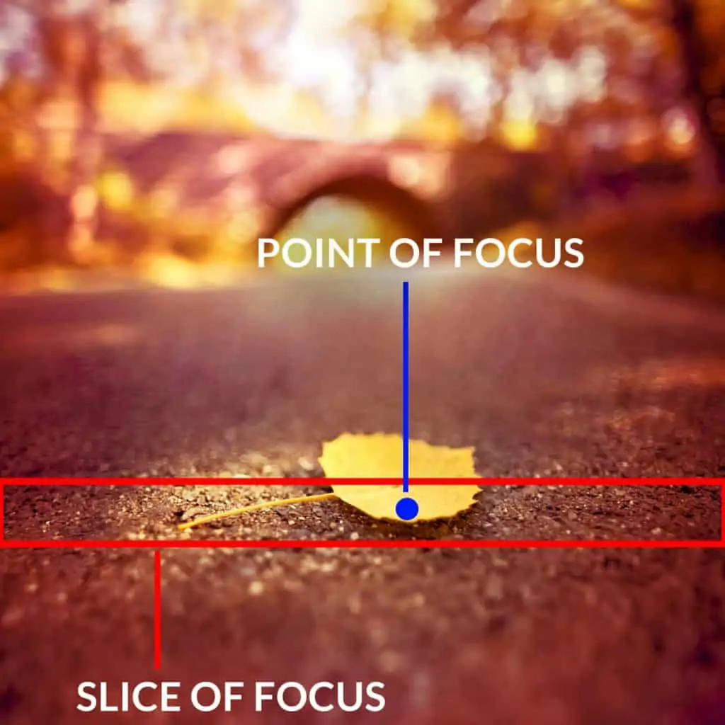 The aperture to manipulate the depth of field - CreativeRAW