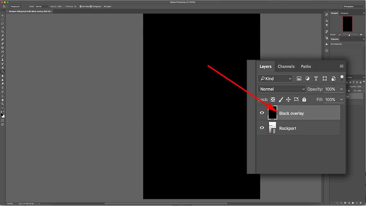 Renaming a layer in Photoshop