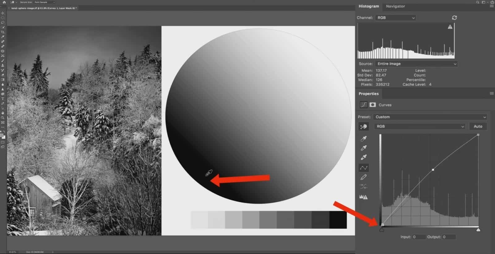 How do I use the curve tool in Lightroom? - CreativeRAW