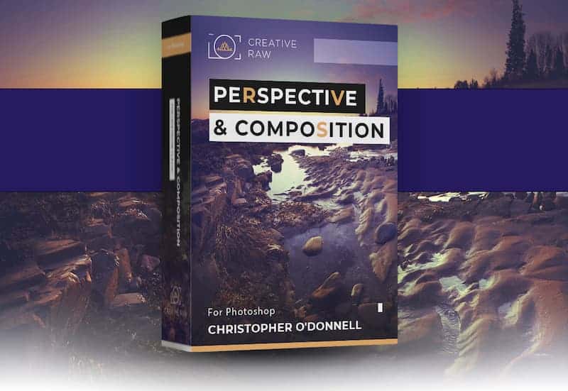 perspective-composition2-box-banner